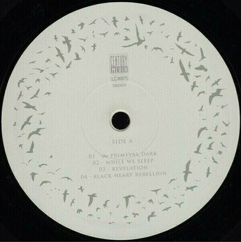 Vinyl Record Insomnium Shadows Of The Dying Sun (2 LP) - 3