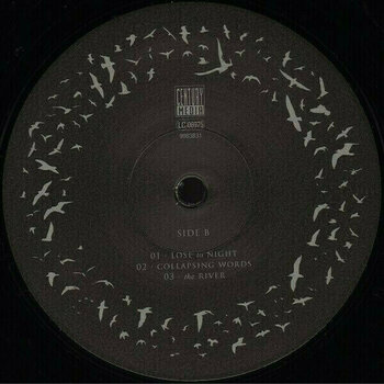 Vinyl Record Insomnium Shadows Of The Dying Sun (2 LP) - 4