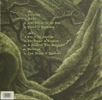 Vinylplade Naglfar - Cerecloth (LP) - 2