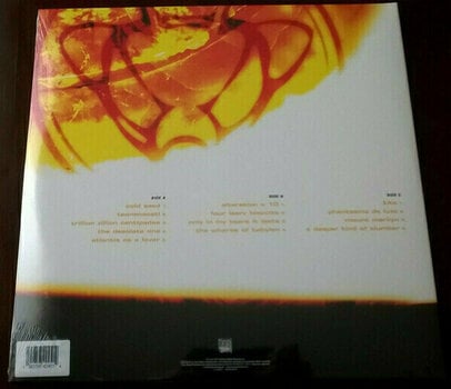 Disque vinyle Tiamat - A Deeper Kind Of Slumber (2 LP) - 2