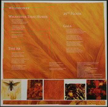 Płyta winylowa Tiamat - Wildhoney (Reissue) (LP) - 3
