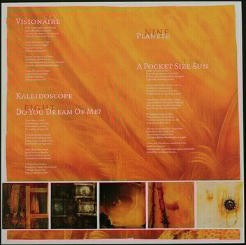 Płyta winylowa Tiamat - Wildhoney (Reissue) (LP) - 4