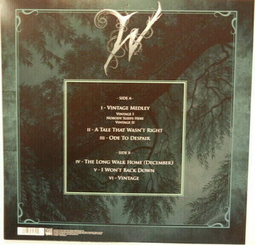 Vinyylilevy Witherfall - Vintage (EP) (LP) - 4