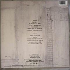 Schallplatte Rage Against The Machine - Battle of Los Angeles (LP) - 1