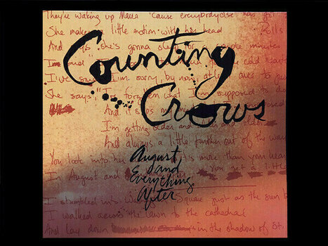 Vinyylilevy Counting Crows - August And Everything After (2 LP) - 9