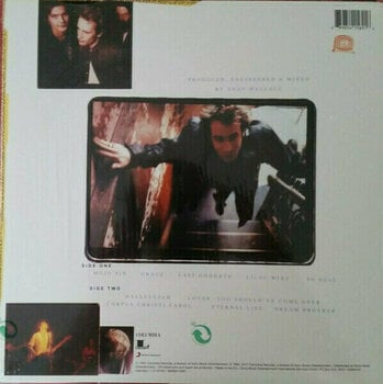 Płyta winylowa Jeff Buckley - Grace (Gold Coloured) (LP) - 3
