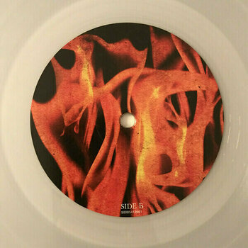 Disco de vinilo Arch Enemy - As The Stages Burn! (2 LP + DVD) - 11