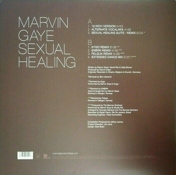 Vinyl Record Marvin Gaye Sexual Healing: The Remixes (35th) - 3