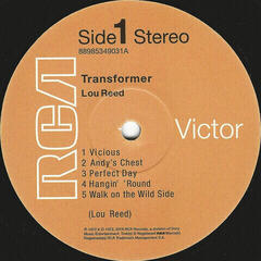 Vinilinė plokštelė Lou Reed Transformer (Reissue) (LP) - 2