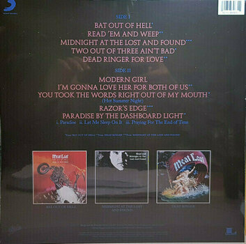 Vinyl Record Meat Loaf Hits Out of Hell (LP) - 2