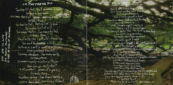 Disco de vinilo Pinback - Summer in Abaddon (LP) - 9
