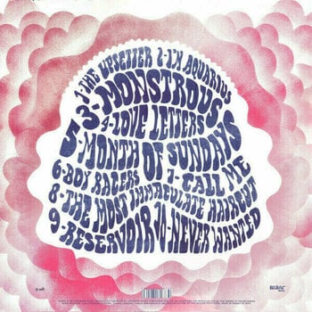 Disque vinyle Metronomy - Love Letters (LP + CD) - 2