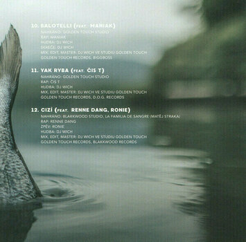 Glasbene CD DJ Wich - Jako ryba ve vodě (CD) - 9