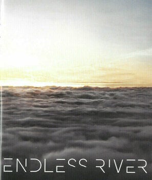 CD de música Pink Floyd - The Endless River (CD + DVD) - 9