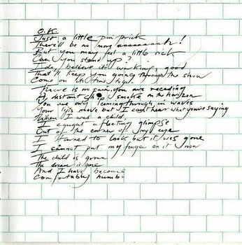 Glasbene CD Pink Floyd - The Wall (2011) (2 CD) - 23