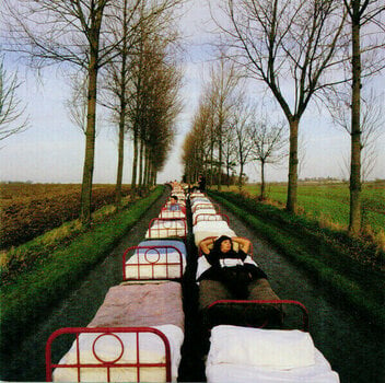 CD musique Pink Floyd - A Momentary Lapse Of Reason (2011) (CD) - 5