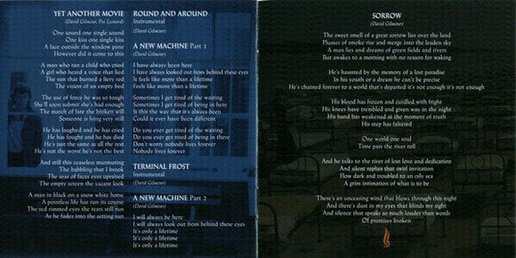 Hudobné CD Pink Floyd - A Momentary Lapse Of Reason (2011) (CD) - 14