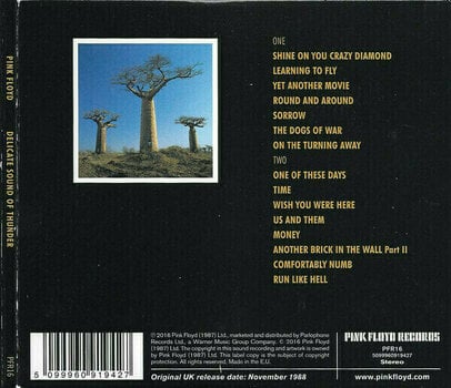 CD de música Pink Floyd - Delicate Sound Of Thunder (2 CD) CD de música - 2