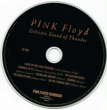 Muziek CD Pink Floyd - Delicate Sound Of Thunder (2 CD) - 5