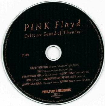 CD диск Pink Floyd - Delicate Sound Of Thunder (2 CD) - 6