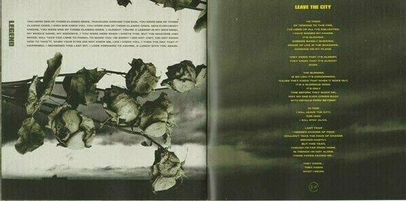 Muzyczne CD Twenty One Pilots - Trench (CD) - 13