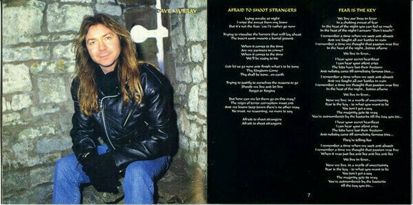 Hudobné CD Iron Maiden - Fear Of The Dark (CD) - 18