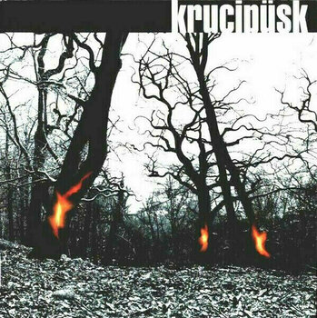 Glasbene CD Krucipusk - Druide (CD) - 3
