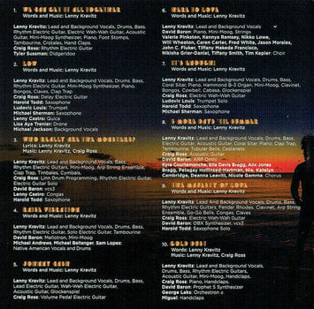 Muziek CD Lenny Kravitz - Raise Vibration (Ee Version) (CD) - 4