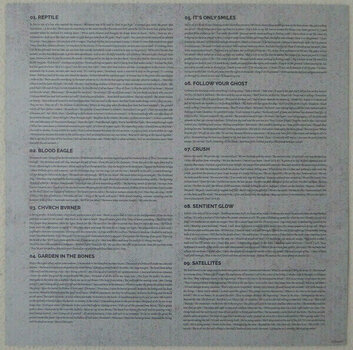 Disco de vinil Periphery Periphery IV: Hail Stan (Gatefold Sleeve) (2 LP) - 10
