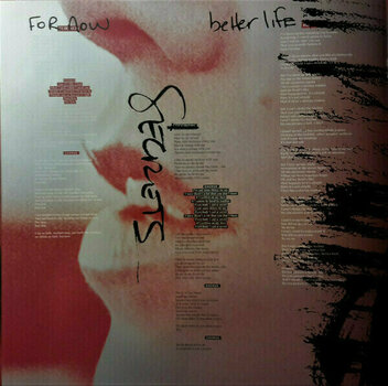 LP Pink Beautiful Trauma (2 LP) - 9