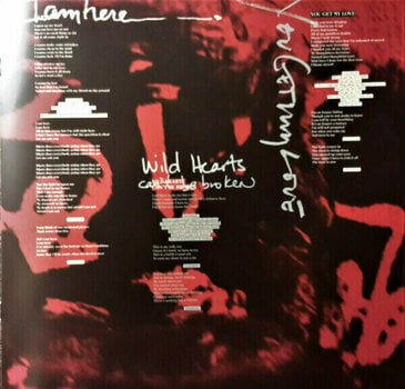 LP deska Pink Beautiful Trauma (2 LP) - 10