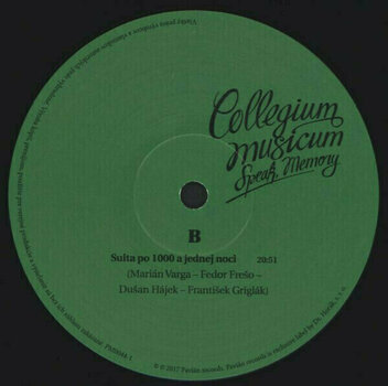 Грамофонна плоча Collegium Musicum - Speak, Memory (2 LP) - 5