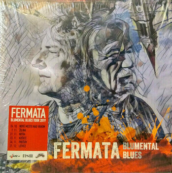 Vinyl Record Fermata - Blumental Blues (LP) - 2