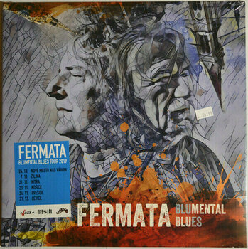 Vinyl Record Fermata - Blumental Blues (LP) - 3
