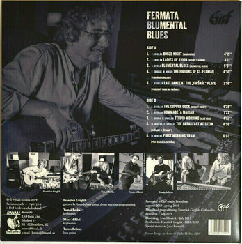 Vinyl Record Fermata - Blumental Blues (LP) - 4