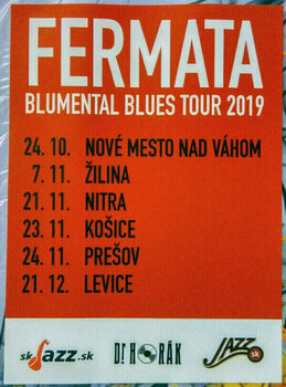 Disque vinyle Fermata - Blumental Blues (LP) - 6