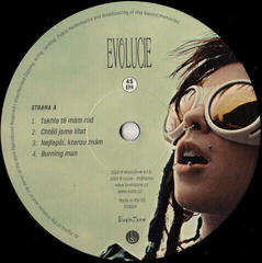 Vinyl Record Lucie - EvoLucie (2 LP) - 2