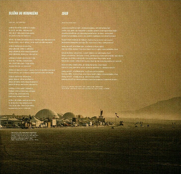 Disque vinyle Lucie - Evolucie (2 LP) - 13