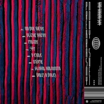 Disque vinyle Bad Karma Boy - Prekrásny Nový Svet (LP) - 2