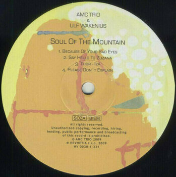 Vinyl Record AMC Trio & Ulf Wakenius - Soul Of The Mountain (LP) - 2
