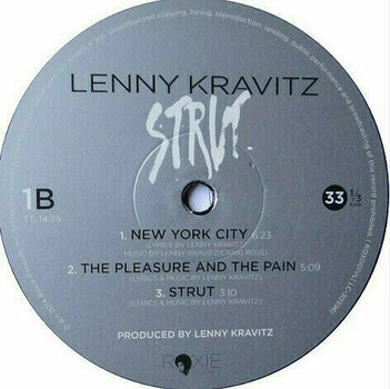 Disque vinyle Lenny Kravitz - Strut (2 LP) - 4