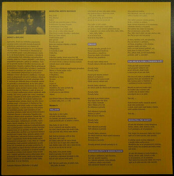 Disque vinyle Marta Kubišová - Songy a balady (LP) - 3