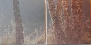 Disco in vinile Aneta Langerová - Na radosti (LP) - 3