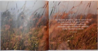 Disco in vinile Aneta Langerová - Na radosti (LP) - 5