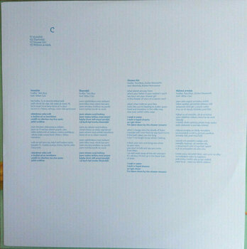 Vinyl Record Tata Bojs - Biorytmy (2 LP) - 10