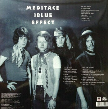 Vinyl Record Blue Effect - Meditace (LP) - 2