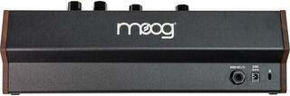 Synthesizer MOOG Subharmonicon Synthesizer - 2