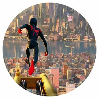 Vinyl Record Spiderman - Into the Spider-Verse (2 LP) - 3