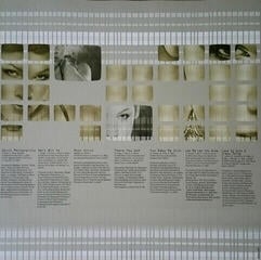 Vinylplate Pink Can'T Take Me Hone (Coloured) (2 LP) - 2