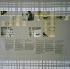 Vinylplate Pink Can'T Take Me Hone (Coloured) (2 LP) - 3